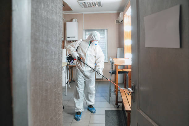 Best Mold Prevention Services  in Venus, TX